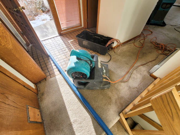Best Water damage restoration mold remediation  in Monte Alto, TX