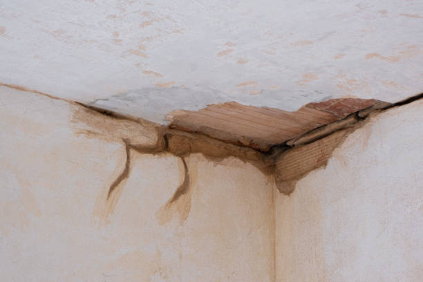 Best 24/7 water damage repair  in Monte Alto, TX
