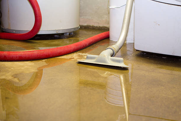 Best Water damage contractors near me  in Monte Alto, TX