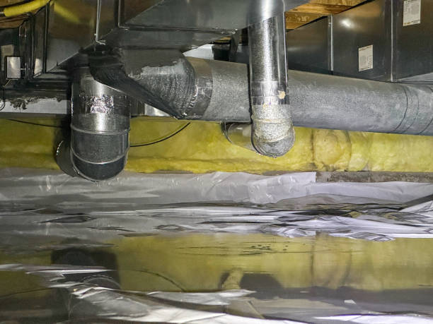 Best Water damage restoration near me  in Monte Alto, TX
